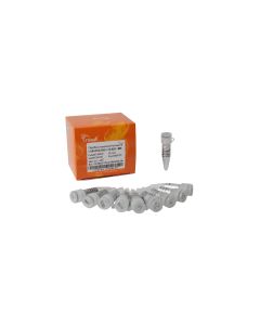 T7 High Efficiency Transcription Kit (N1-me-Pseudo UTP) transgen JT102-01_UD