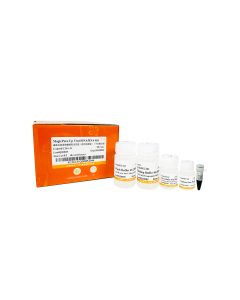 MagicPure® Up Viral DNA/RNA Kit（without Magnetic Stand） transgen EC341-11
