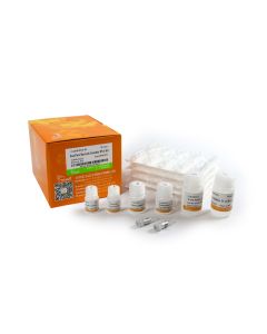 EasyPure® Bacteria Genomic DNA Kit (with RNase A） transgen EE161-01