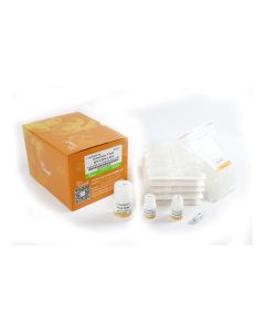 EasyPure® Viral DNA/RNA Kit transgen ER201-01