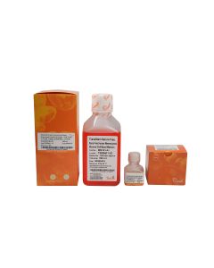 TransStem® Serum-Free, Xeno-Free Human Mesenchymal Stromal Cell Medium (GMP Grade) transgen MM101-01