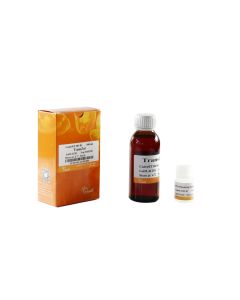TransZol transgen ET101-01