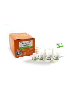EasyPure® RNA Kit transgen ER101-01