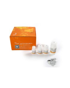 MagicPure® Viral DNA/RNA Kit (without Magnetic Stand） transgen EC301-11