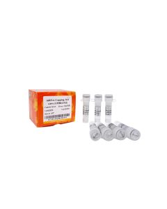 mRNA Capping Kit transgen LC101-01_NV