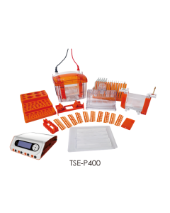 TSE-P400 Mini Vertical Electrophoresis System transgen TSE-P400_TO