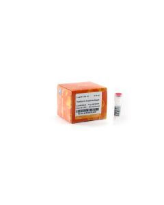 TransIntro® EL Transfection Reagent transgen FT201-01