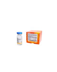 TransStem® Chemically Defined Xeno-free Cell Cryopreservation Medium III—DMSO Free,Protein Free transgen MC131-03