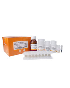 MagicPure® Total RNA Kit(with Magnetic Stand） transgen EC521-01