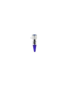 Trans2K® Plus II DNA Marker transgen BM121-01