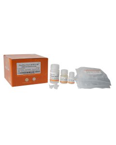 EasyPure® Fast Cell RNA Kit transgen ER111-01