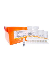 MagicPure® Up Viral DNA/RNA Kit（with Magnetic Stand） transgen EC341-01