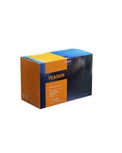 dCTP Solution (100 mM) -10119ES yeasen