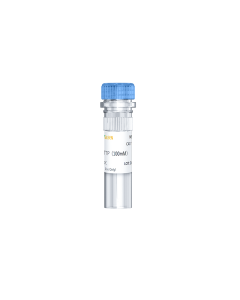 dTTP Solution (100 mM) -10120ES yeasen