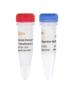 Terminal Deoxynucleotidyl Transferase (20 U/µL) _ 10302ES yeasen