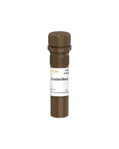 RNase A (100 mg/mL) _ 10406ES yeasen
