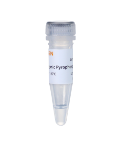 Pyrophosphatase, Inorganic GMP-grade (1 U/μL) _ 10620ES yeasen
