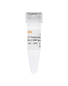 10× Transcription Buffer 3 (GMP-Grade)_ 10674ES yeasen