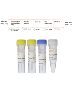 Hieff NGS™ OnePot Evo DNA Library Prep Kit (Enzymatic, For FFPE, V4) _ 12193ES yeasen