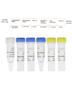 Hieff NGS™ dsDNA Methyl Library Prep Kit for Illumina™ _ 12214ES yeasen
