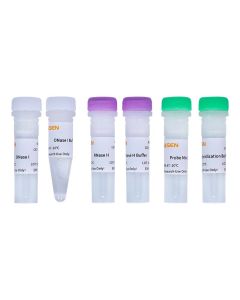 Hieff NGS™ MaxUp rRNA Depletion Kit (Plant) -12254ES yeasen