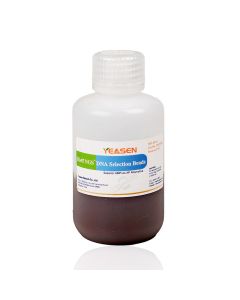 Hieff NGS™ DNA Selection Beads (Superior Ampure XP Alternative) _ 12601ES yeasen
