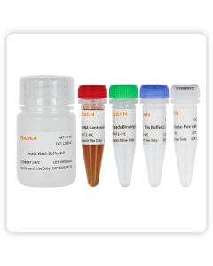 Hieff NGS™ mRNA Isolation Master Kit V2 _ 12629ES yeasen