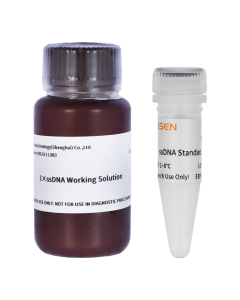 1×ssDNA Assay Kit _ 12646ES yeasen