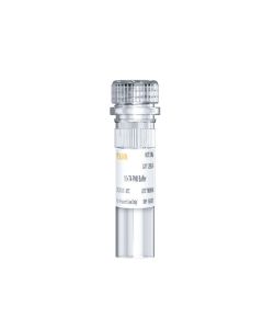 T4 polynucleotide Kinase(10 U/μL) _ 12902ES yeasen