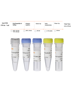 Hieff NGS™ DNA Library Prep Kit 2.0 (Mechanical) _ 12927ES yeasen