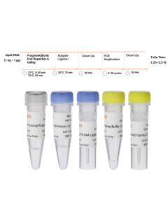Hieff NGS™ OnePot Pro DNA Library Prep Kit V4 (Enzymatic) -12972ES yeasen