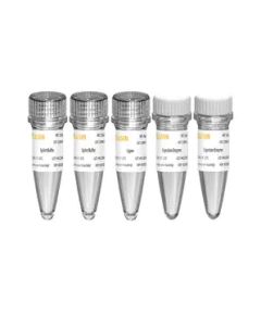 Hieff NGS™ Dual Barcode Fast-Pace DNA Cyclization Kit for MGI -13340ES yeasen