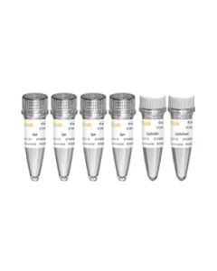 Hieff NGS™ Fast-Pace DNA Cyclization Kit for MGI -13341ES yeasen