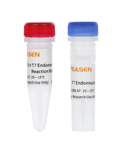 T7 Endonuclease I (10 U/µL) _ 14548ES yeasen