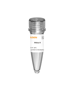 RNase R  (20 U/μL) - 14606ES yeasen