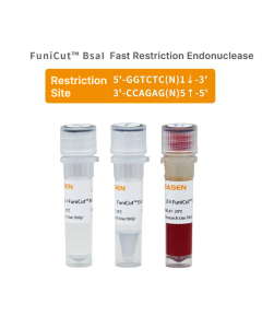 FuniCut™ BsaI _ 15005ES yeasen