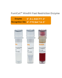 FuniCut™ Hindlll _ 15012ES yeasen