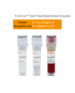 FuniCut™ SpeI _ 15028ES yeasen