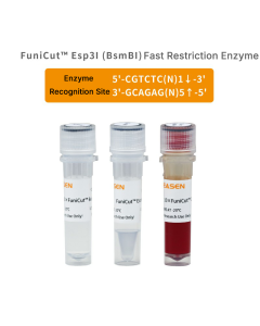 FuniCut™ Esp3I (BsmBI) (10U/μL) _ 15048ES yeasen