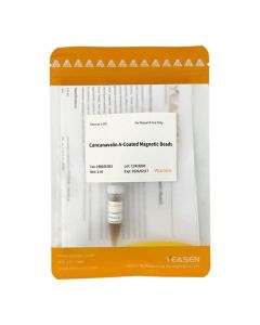 Concanavalin A-Coated Magnetic Beads _19810ES yeasen