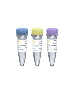 SUMO Protease (1 U/μL, Expressed in E.coli.) _ 20410ES yeasen