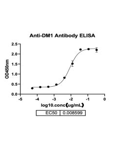 Anti-DM1 Mouse mAb _ 31901ES yeasen