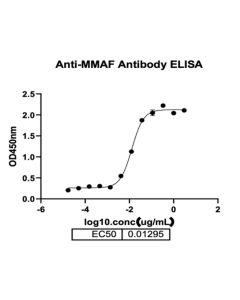 Anti-MMAF Mouse mAb _ 31904ES yeasen
