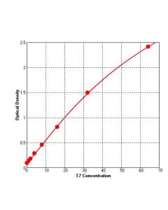 T7 RNA Polymerase ELISA kit _ 36705ES yeasen