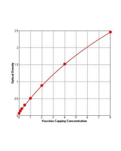 Vaccinia Capping Enzyme ELISA Kit  _ 36709ES yeasen
