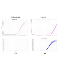 MycAway™  Mycoplasma Real-time qPCR Detection Kit (2G) -40619ES yeasen