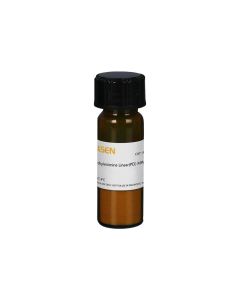 Polyethylenimine Linear(PEI) MW 25000 _ 40815ES yeasen