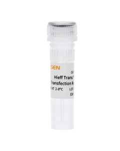 Hieff Trans™ PEI Transfection Reagent -40820ES yeasen