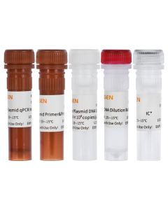 Plasmid DNA Residue Detection Kit _ 41323ES yeasen