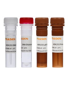 HEK293 Host Cell DNA Residue Detection Kit (3G) _ 41331ES yeasen